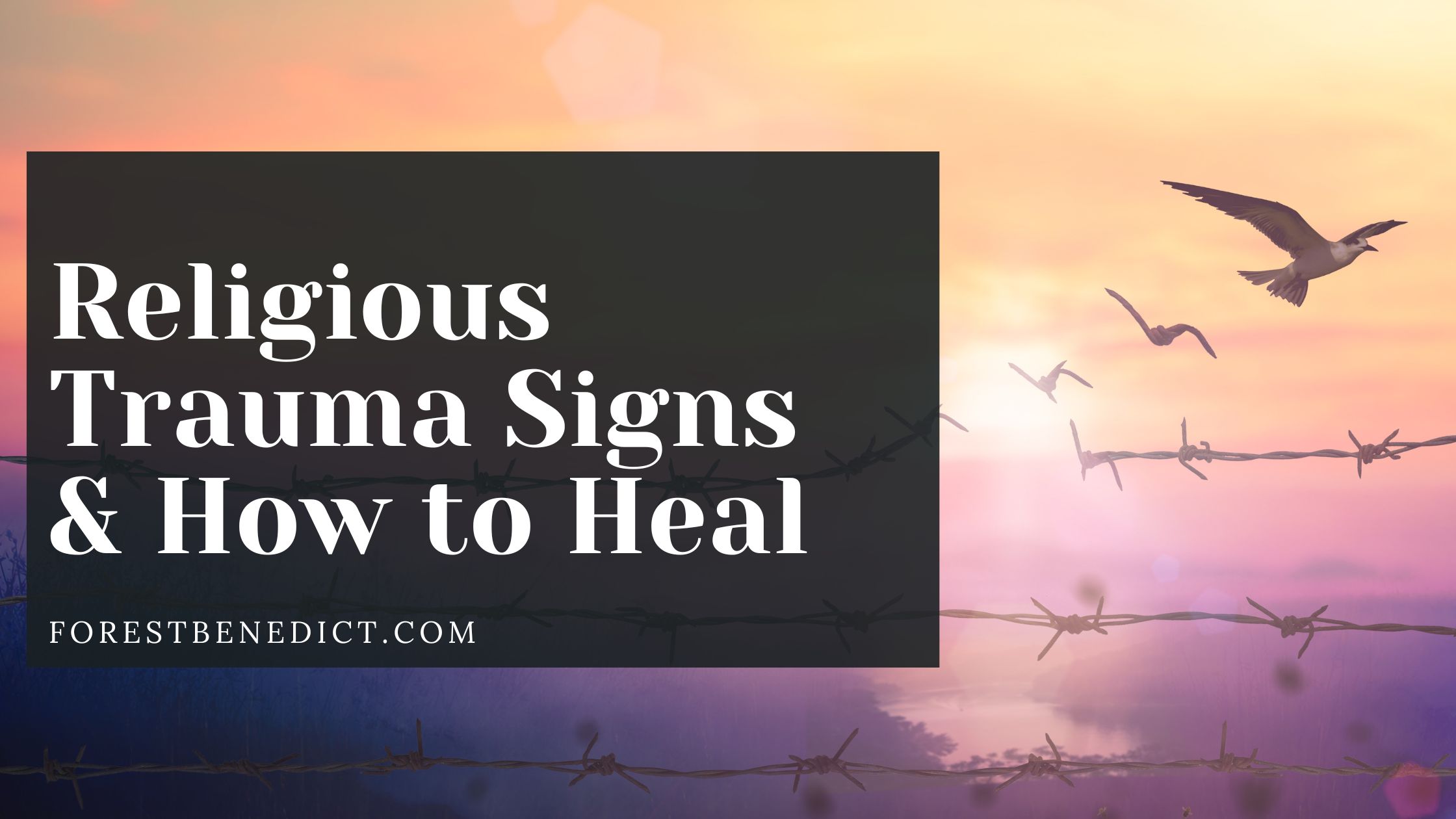 Religious Trauma Signs & How to Heal